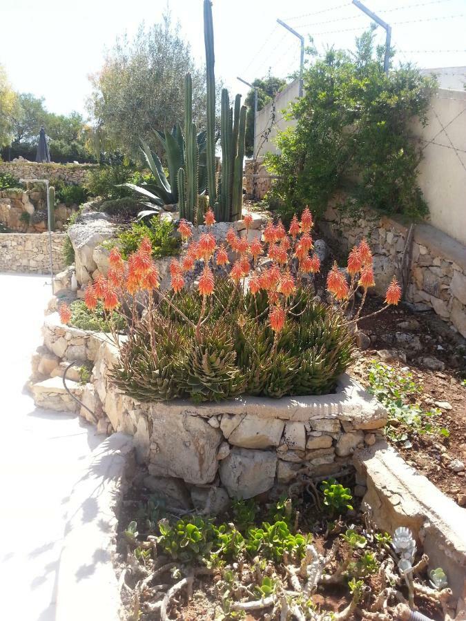 Villa Ca Del Mar Morciano di Leuca Exterior foto