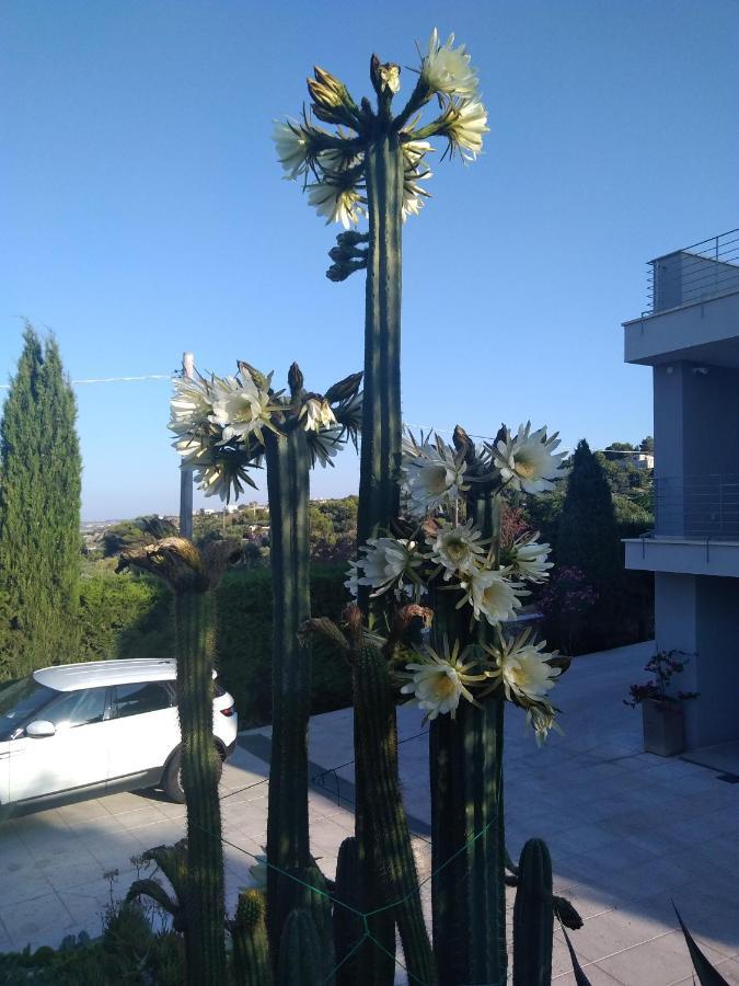 Villa Ca Del Mar Morciano di Leuca Exterior foto